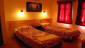 Economy single with garden view, balcony, private facilities, and breakfast